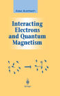 Interacting Electrons and Quantum Magnetism / Edition 1