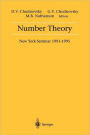 Number Theory: New York Seminar 1991-1995