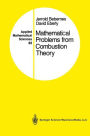 Mathematical Problems from Combustion Theory / Edition 1