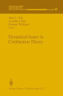 Dynamical Issues in Combustion Theory / Edition 1