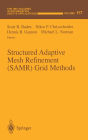 Structured Adaptive Mesh Refinement (SAMR) Grid Methods