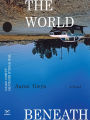 The World Beneath: A Novel