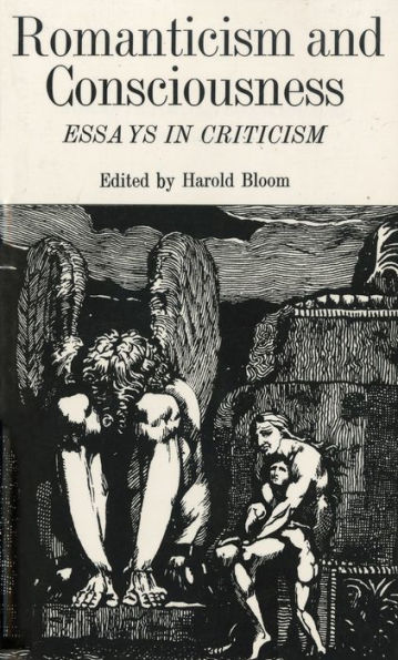 Romanticism and Consciousness: Essays in Criticism / Edition 1