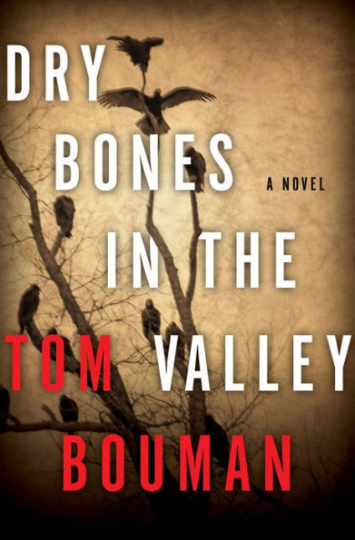 Dry Bones in the Valley (Henry Farrell Series #1)
