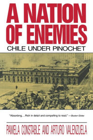 Download textbooks pdf free online Nation of Enemies: Chile under Pinochet 9780393309850 English version by Pamela Constable, Arturo Valenzuela