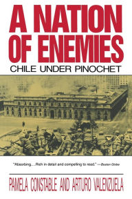 Title: A Nation of Enemies: Chile Under Pinochet / Edition 1993, Author: Pamela Constable