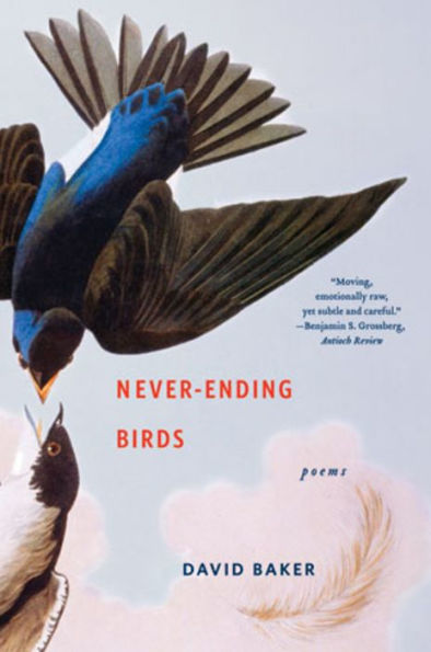 Never-Ending Birds: Poems