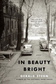 Title: In Beauty Bright, Author: Gerald Stern