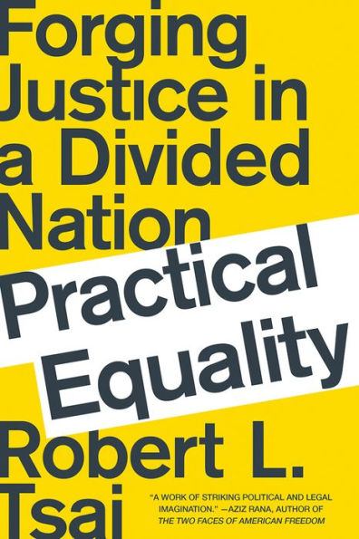 Practical Equality: Forging Justice a Divided Nation