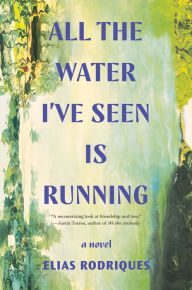 Free electronic textbook downloads All the Water I've Seen Is Running: A Novel by Elias Rodriques DJVU PDB RTF 9780393540802 (English literature)