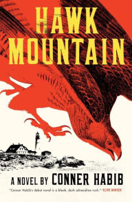 Title: Hawk Mountain: A Novel, Author: Conner Habib