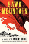 Alternative view 1 of Hawk Mountain: A Novel