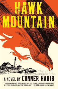 Hawk Mountain: A Novel