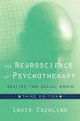 The Neuroscience of Psychotherapy: Healing the Social Brain (Third Edition) (Norton Series on Interpersonal Neurobiology)