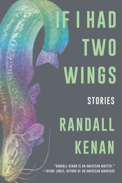 If I Had Two Wings: Stories