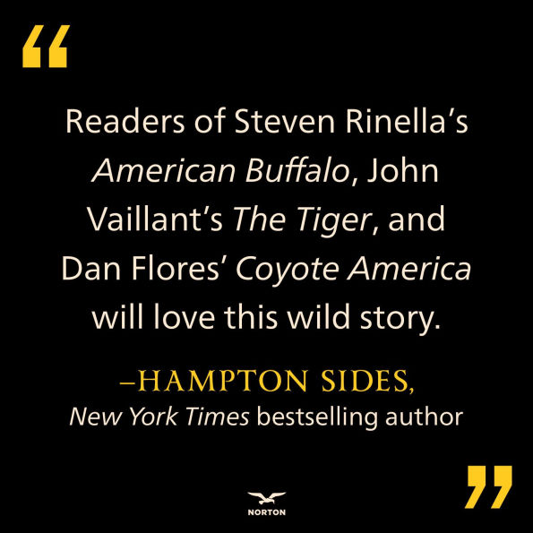 Heart of the Jaguar: Extraordinary Conservation Effort to Save Americas' Legendary Cat