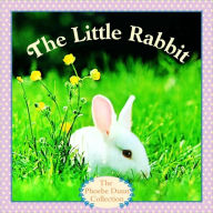 Title: Little Rabbit, Author: Judy Dunn