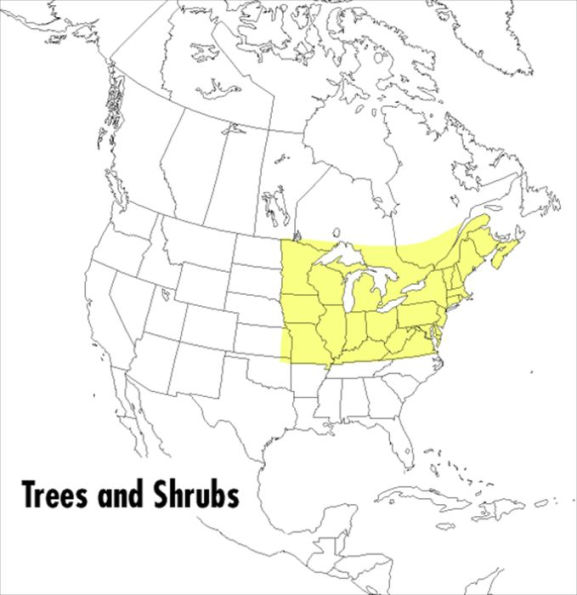 A Field Guide to Trees and Shrubs: Northeastern and north-central United States and southeastern and south-centralCanada