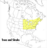 Title: A Peterson Field Guide To Trees And Shrubs: Northeastern and north-central United States and southeastern and south-centralCanada, Author: Roger Tory Peterson