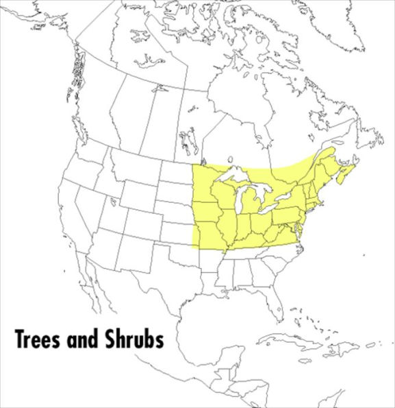A Peterson Field Guide To Trees And Shrubs: Northeastern and north-central United States and southeastern and south-centralCanada