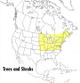 Alternative view 2 of A Peterson Field Guide To Trees And Shrubs: Northeastern and north-central United States and southeastern and south-centralCanada