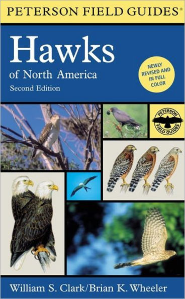 A Field Guide to Hawks of North America