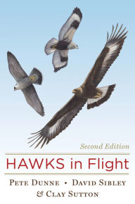 Title: Hawks in Flight: Second Edition, Author: David Sibley