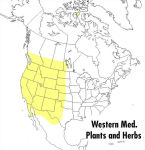 Alternative view 2 of A Peterson Field Guide to Western Medicinal Plants and Herbs