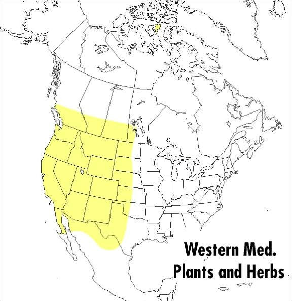 A Peterson Field Guide To Western Medicinal Plants And Herbs