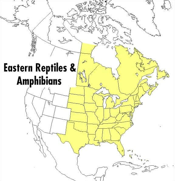 A Field Guide to Reptiles and Amphibians: Eastern and Central North America / Edition 3