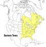 Alternative view 2 of A Peterson Field Guide To Eastern Trees: Eastern United States and Canada, Including the Midwest