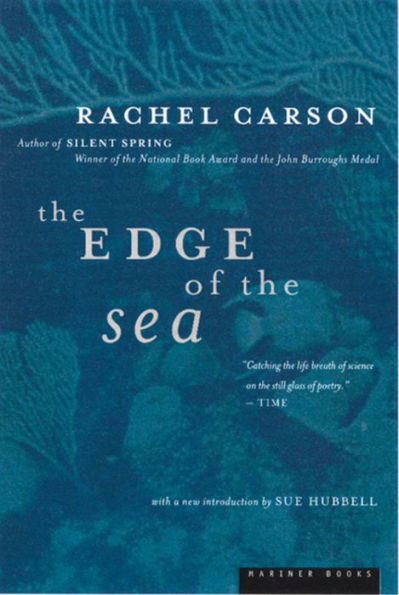 the Edge of Sea