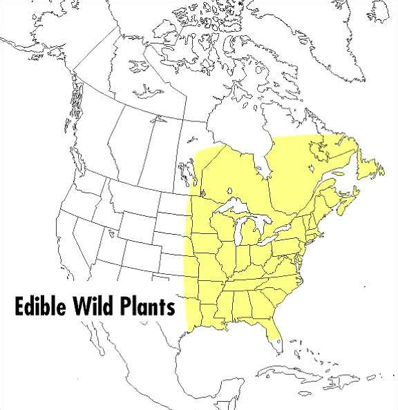 A Peterson Field Guide To Edible Wild Plants: Eastern and central North America