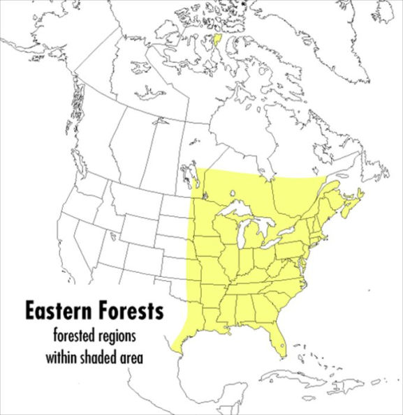 A Peterson Field Guide to Eastern Forests: North America