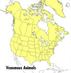 Alternative view 2 of A Peterson Field Guide to Venomous Animals and Poisonous Plants: North America North of Mexico