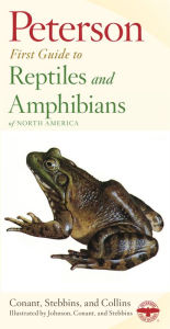 Title: Peterson First Guide To Reptiles And Amphibians, Author: Robert C. Stebbins