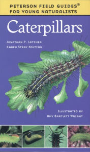 Title: Caterpillars, Author: Karen Stray Nolting
