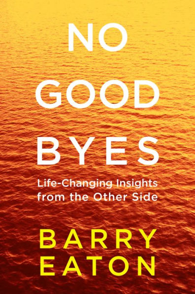 No Goodbyes: Life-Changing Insights from the Other Side