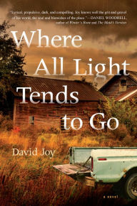 Title: Where All Light Tends to Go, Author: David Joy