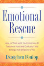 Emotional Rescue: How to Work with Your Emotions to Transform Hurt and Confusion into Energy That Empowers You