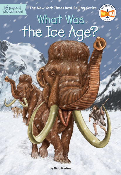 What Was the Ice Age?