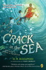 A Crack in the Sea