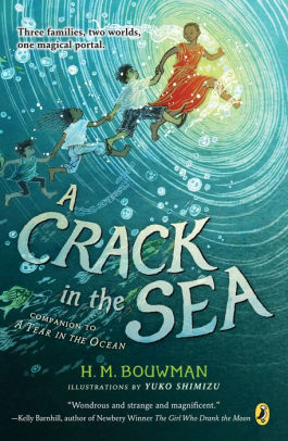 A crack in the sea book report