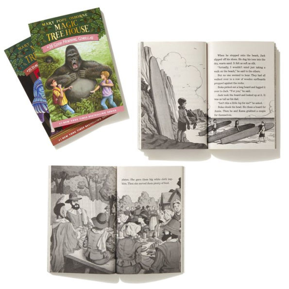 Magic Tree House Volumes 25-28 Boxed Set