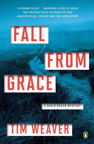 Fall from Grace (David Raker Series #5)