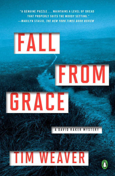 Fall from Grace (David Raker Series #5)