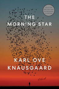 Ebooks downloads free pdf The Morning Star: A Novel