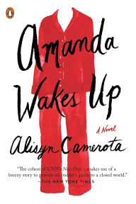 Downloading free books Amanda Wakes Up 9780399564000 in English PDB ePub