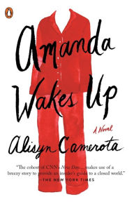 Title: Amanda Wakes Up: A Novel, Author: Alisyn Camerota
