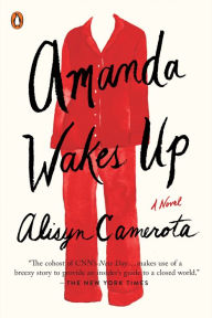 Title: Amanda Wakes Up: A Novel, Author: Alisyn Camerota